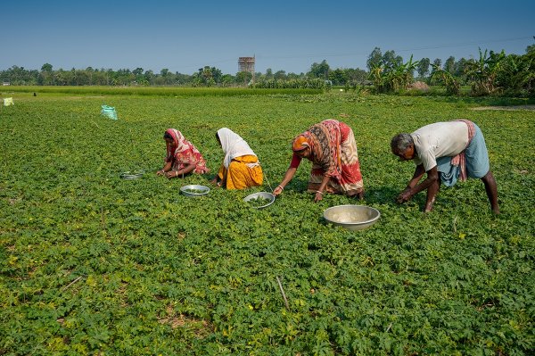 Why Natural Resources Are the Frontline of Climate and Income Security